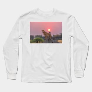 Cheetah at Sunset Long Sleeve T-Shirt